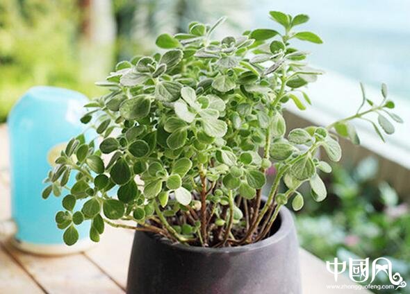 家居破財?shù)娘L(fēng)水是如何