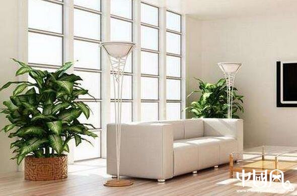 家具的顏色風水知識