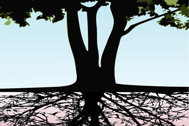 想要知道你的婚姻根基在哪里？快來學(xué)習(xí)風(fēng)水學(xué)