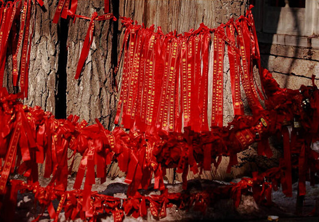 想要招姻緣嗎？風(fēng)水學(xué)來幫你