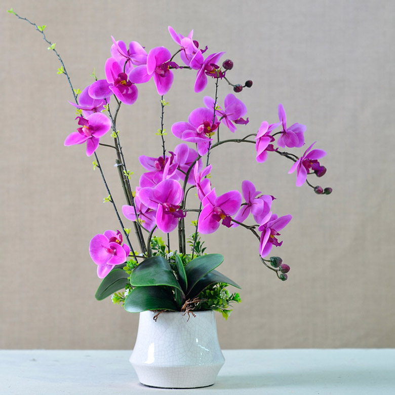 假花也會影響你的感情？？？