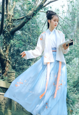 傳統(tǒng)漢服褙子褶裙，宋制繡花楓葉裙