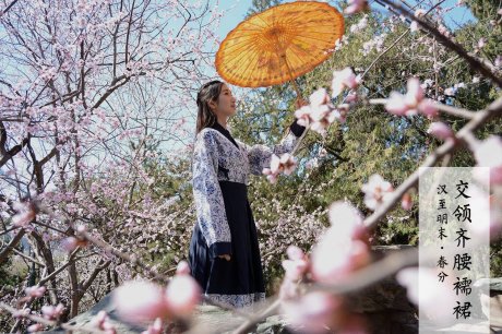 改良漢服,古風(fēng)交領(lǐng)清新淡雅齊胸襦裙