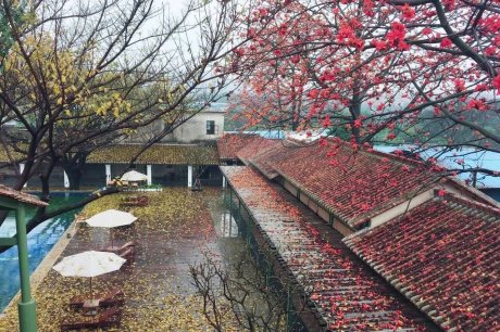 喜臨院，在年月網(wǎng)紅房把珠江江景盡收眼底