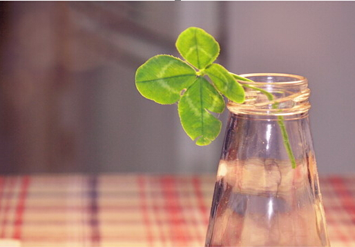 學(xué)習(xí)風水學(xué)，生活風水禁忌大全送給你