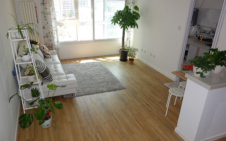 學(xué)習(xí)風(fēng)水學(xué)，客廳擺放植物風(fēng)水禁忌全get！