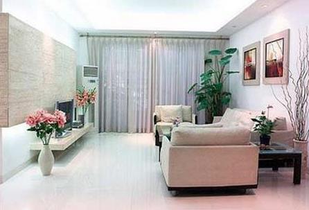 這些客廳植物風(fēng)水禁忌，你一定要知道！