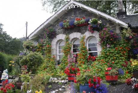 講解十二生肖買(mǎi)房風(fēng)水宜忌