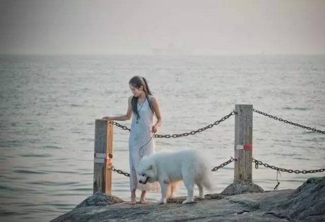 悠然別苑民宿設計，聽海風的聲音