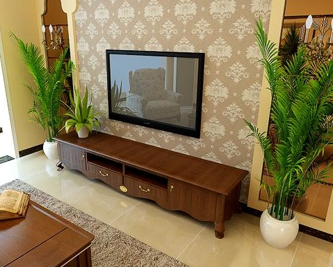 家中植物擺設風水禁忌，你想知道嗎？