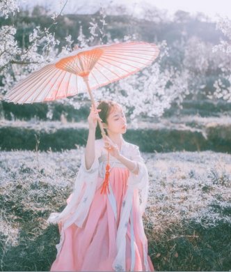 刺繡對襟齊胸襦裙，清新淡雅漢服