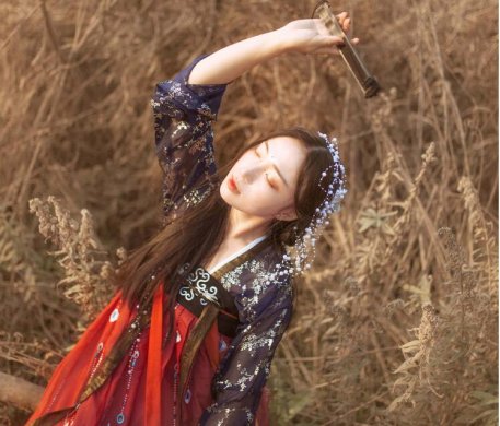 傳統(tǒng)齊胸襦裙，錦繡燙金刺繡漢服圖片