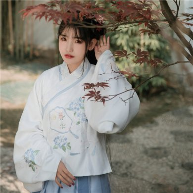精致紫陽扇香圖案繡花漢服，清新交領(lǐng)襦裙?jié)h服