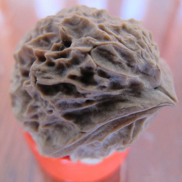 文玩鷹嘴核桃(典藏精品)