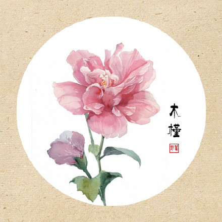 清新古風(fēng)花卉插畫，可作頭像的花卉插畫圖片