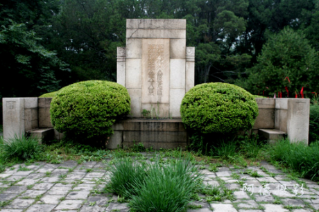 植物對墓地風(fēng)水有何影響？植物與風(fēng)水的聯(lián)系