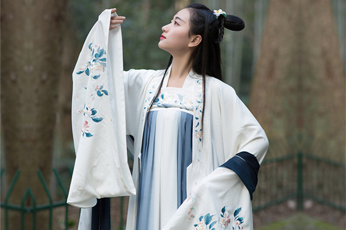 家佳樂(lè)文學(xué)傳統(tǒng)漢服女裝大袖衫繡花上衣