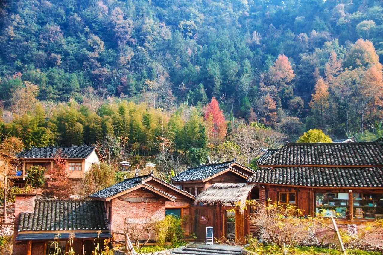 張家界·五號山谷，山谷在重生！