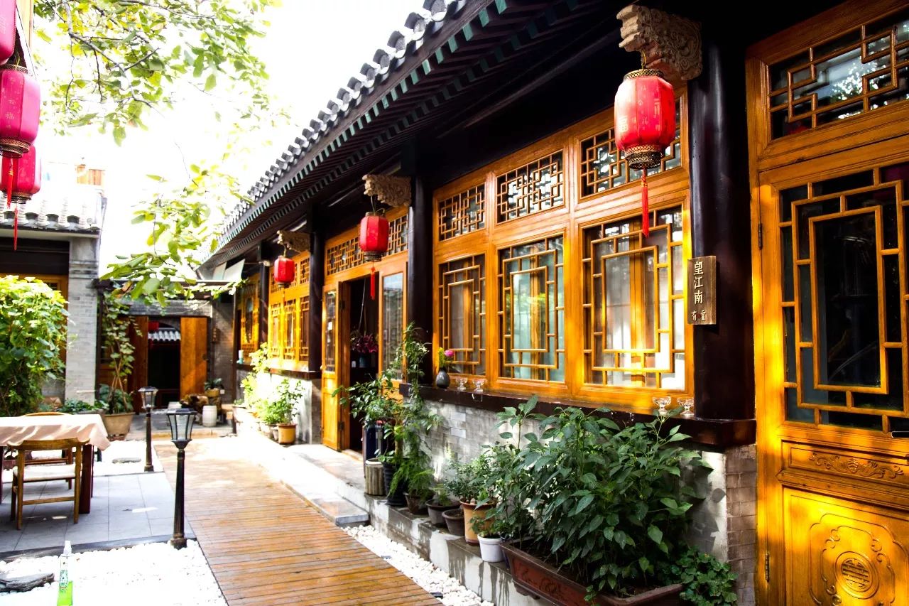 京城·63號(hào)院子，有院子老樹(shù)老北京的煙火氣息