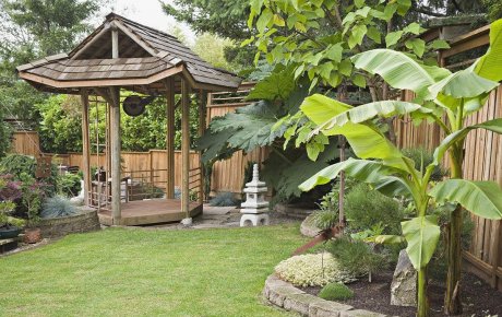 庭院大門朝向風(fēng)水細(xì)述，庭院植物風(fēng)水知識(shí)