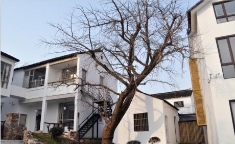 房子坐向風(fēng)水詳解，房屋的坐向如何確定？