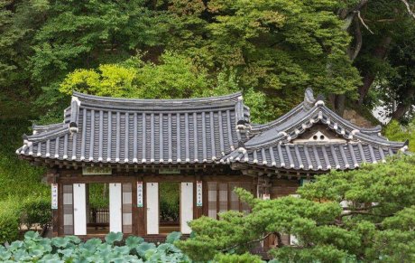 詳細分析坐向風水，住宅風水坐向如何確定？