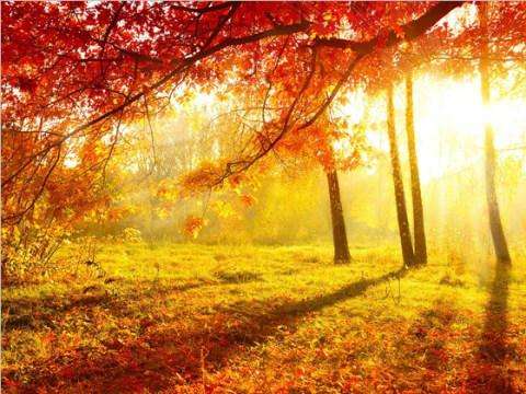 22款與秋相關(guān)的唯美句子，唯美古風(fēng)句子