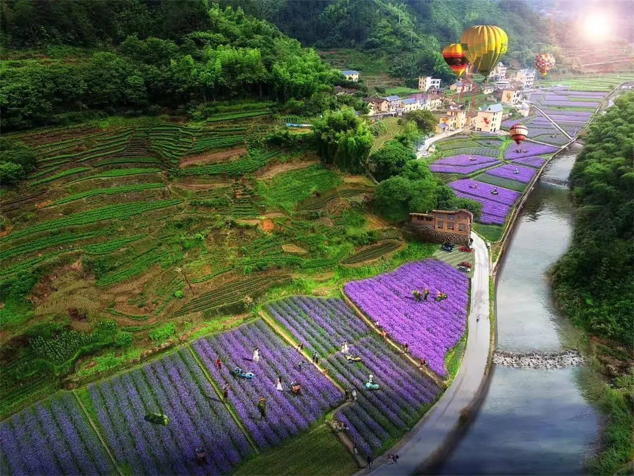 螞蟻尚墅，在山谷的花田美舍里生活