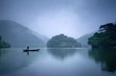 梧桐小筑，一幅靜靜舒展的水墨畫卷