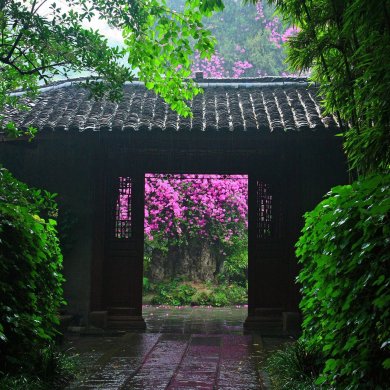 Shin House炘宿，一所真正的“設(shè)計師民宿”