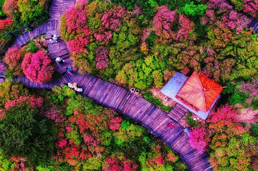 麻城·云夢(mèng)如故，山里的房子就該有山里的味道