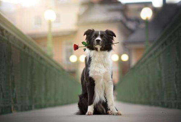 學(xué)會這些風(fēng)水絕招，讓你告別單身的日子