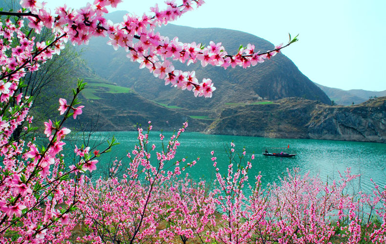 知道這些風水布局，讓你的桃花運滾滾而來