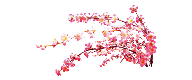 你知道如何看桃花運嗎？風(fēng)水學(xué)來教你