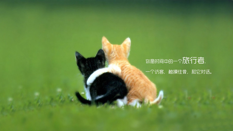 掌握這些風水小妙招，讓你的愛情更加甜蜜